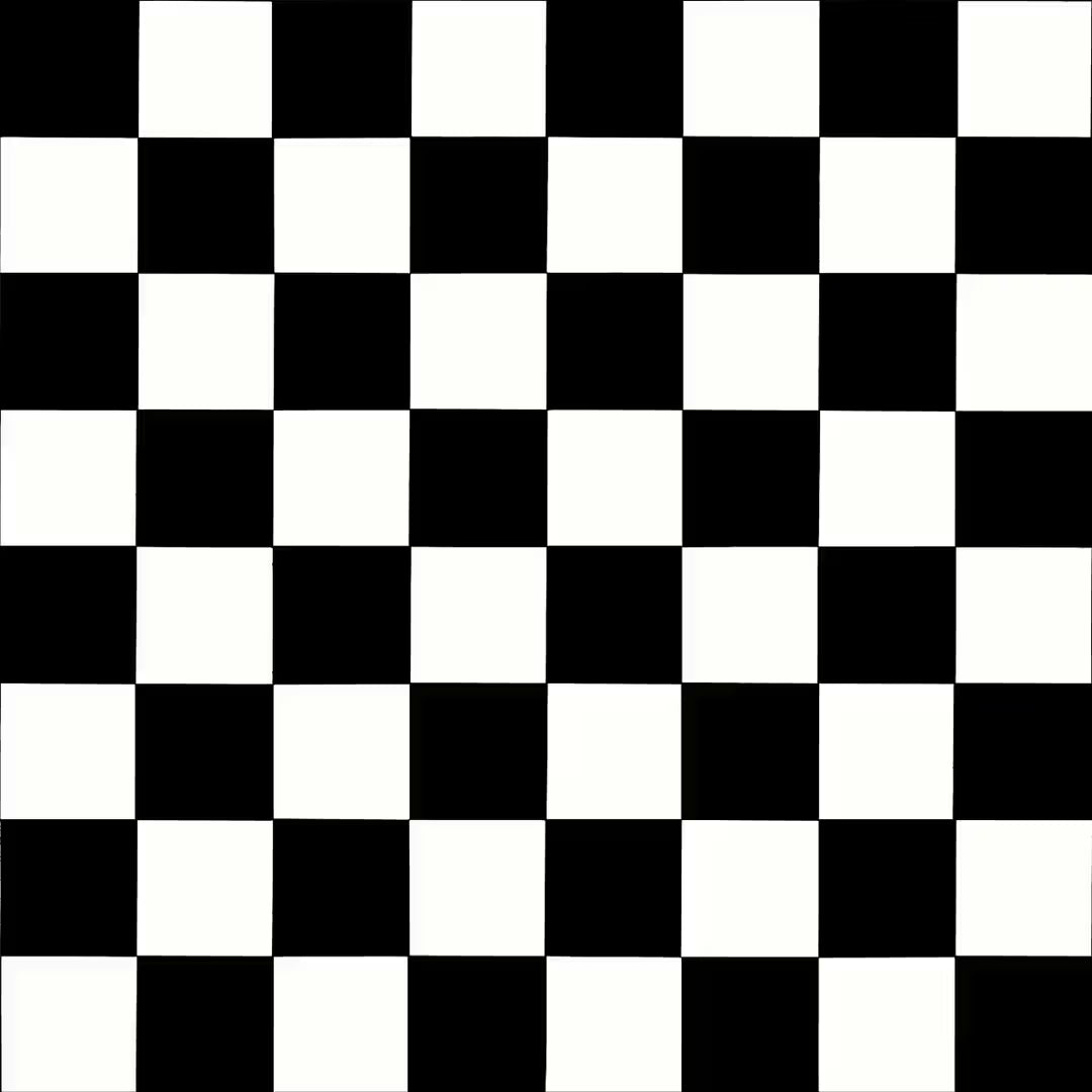 Ecostep Black White Vinyl Flooring 019D
