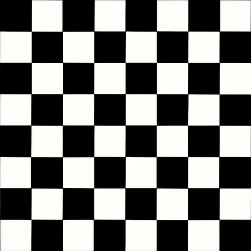 Ecostep Black White Vinyl Flooring 019D